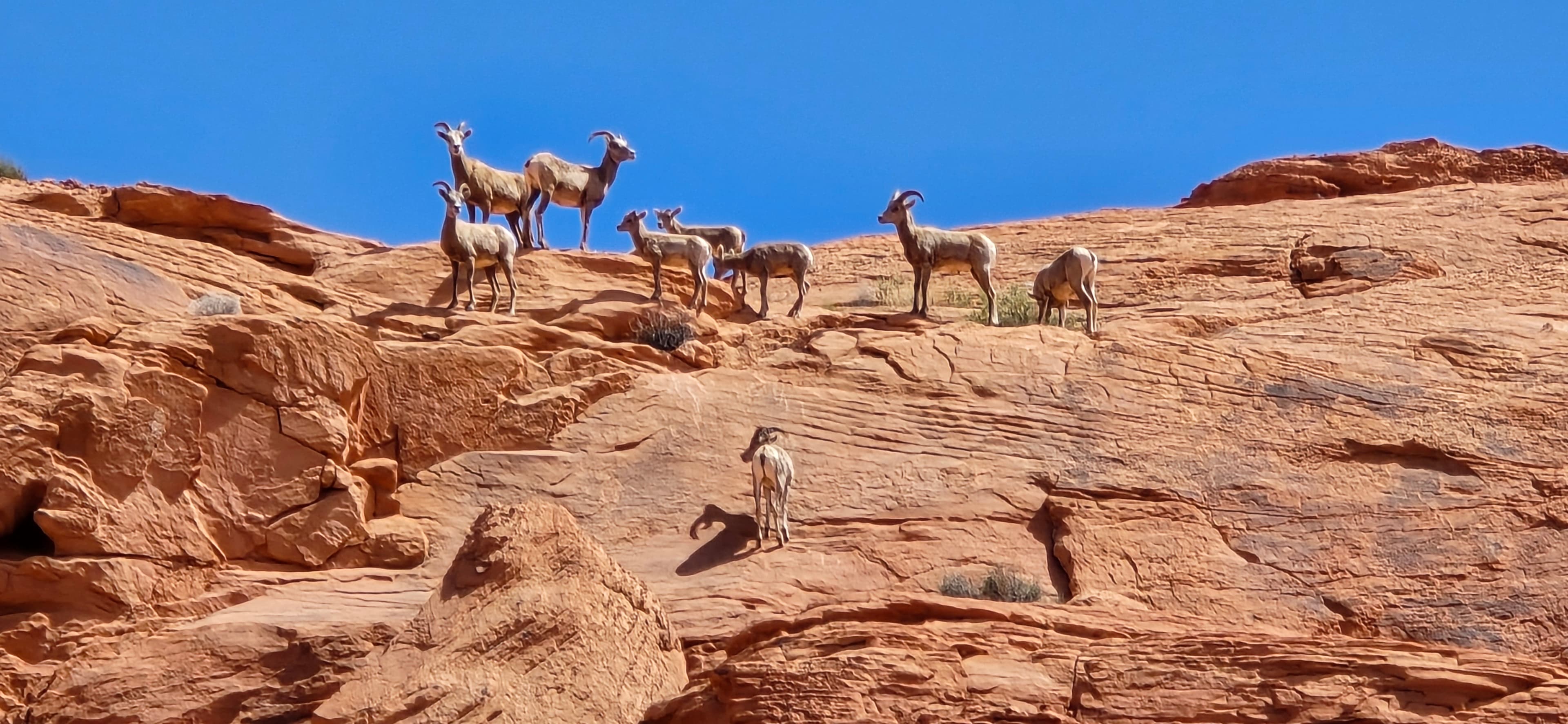 Valley of Fire